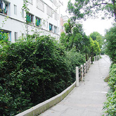 广州航空服务专业初中起点3年中专班-广东华文