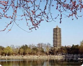 北京大学继续教育学院自考《汉语言文学》专升