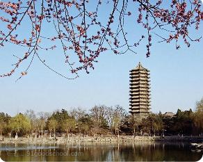 北京大学继续教育学院自考《金融学》专升本培