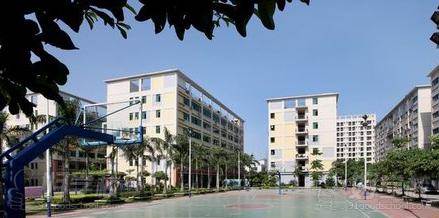 深圳福田区哪里有少儿篮球培训班?