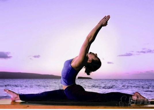 广州亚美瑜伽导师培训学院师资简介-广州亚美