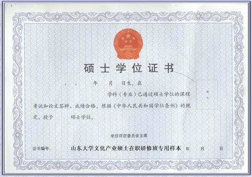 山东大学工程硕士(工商管理与产业信息化)