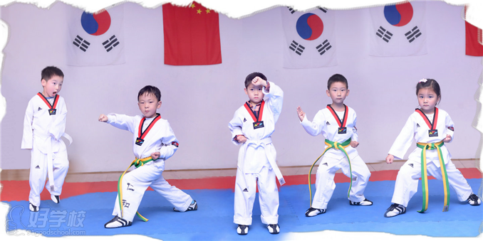上海跆拳道健身暑假班-上海仁和跆拳道体育交
