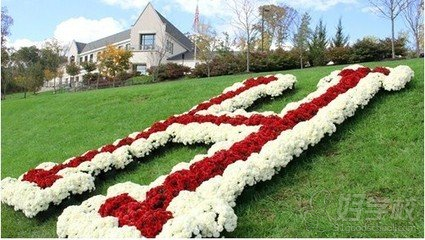 北京樱知叶低龄留学专家 Ann-北京樱知叶文化