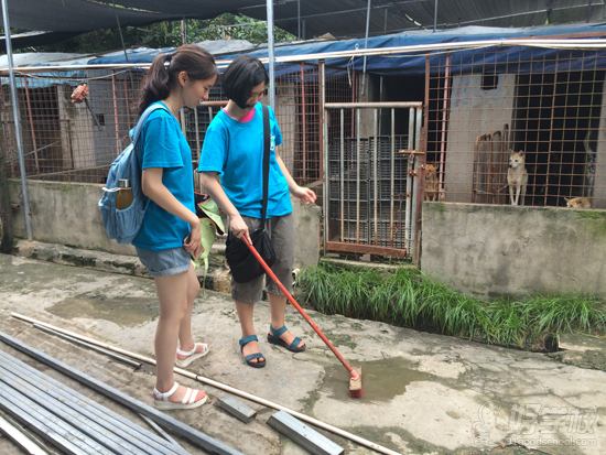 福州雷丁英语保护小动物主题宣传活动圆满结束