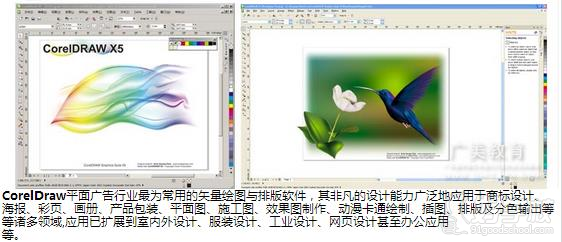 微软全球资深副总裁张祺：未来公司要么大要么小中型公司将急剧收缩OD体育官网- OD体育APP下载- 世界杯指定投注平台