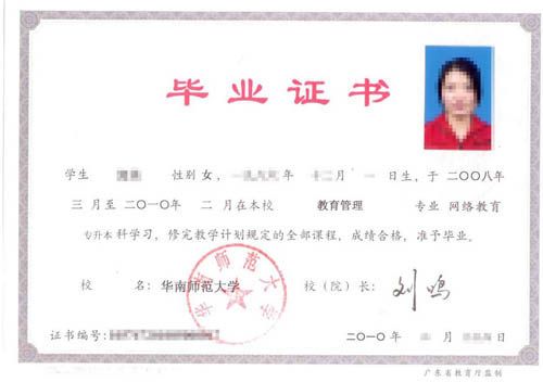 华师网络教育《初等教育》高起专