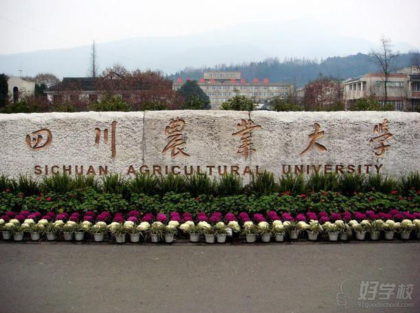 课程设置 想道德修养与法律基础、大学语文、高等数学(一)、毛泽东思想、邓小平理论和三个代表重要思想概论、计算机应用基础、基础会计学业、经济法概论(财经类)、管理学原理、信息管理概论、计算机信息基础、企业信息管理、国民经济统计概论、计算机软件基础(一)、信息经济学、计算机应用基础(实践)、计算机软件基础(一)(实践)等 培养目标 本专业培养企业及政府经济管理部门的商务与经济信息搜集、处理分析、预测、辅助决策和研究等方面、有经济信息科学的理论基础、又有熟练的计算机操作技能。能运用计算机进行信息管理系统的开发