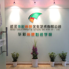 武汉影视编导摄像及后期制作大师班-武汉华彩