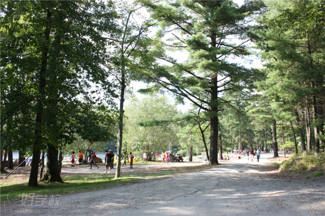 美国纽约国际拓展野营深圳夏令营报名-深圳市