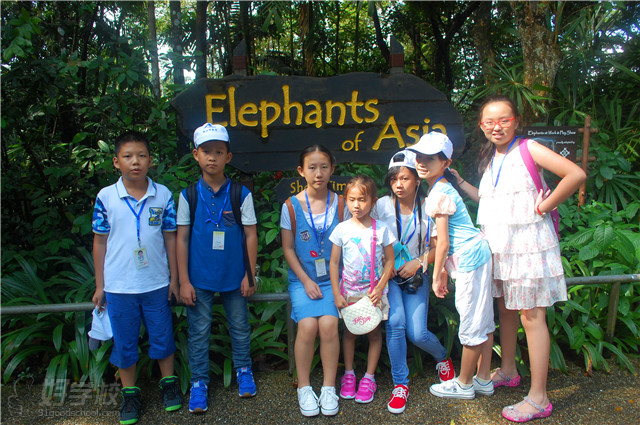 深圳中小学生新加坡海外国际游学夏令营-深圳
