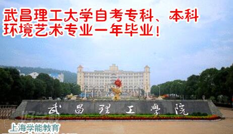 武昌理工学院自考大专本科艺术设计专业上海班