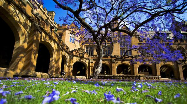 广州澳洲博士学校申请+签证服务-广州阿博留学