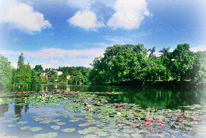 华南农业大学《乡镇企业管理》自考专科广州班