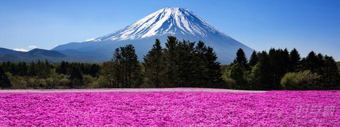 上海日本留学服务申请-上海雅力留学机构-【学