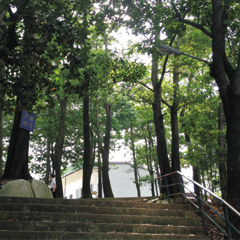 肇庆高考复读辅导学习班-广州朗粤高考复读学