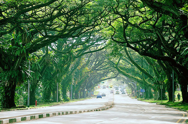 大众摄影初级班-视禾摄影培训广州校区-【学费