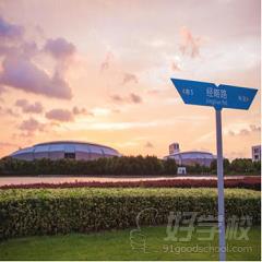 上海意大利名校艺术专业(高升本)预科班-上海对