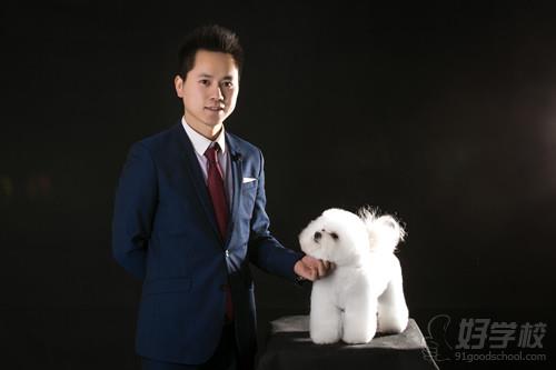 北京高级宠物美容师A级培训班-北京宠艺宠物美