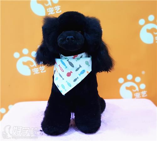 北京日韩创意萌系宠物造型培训课程-北京宠艺