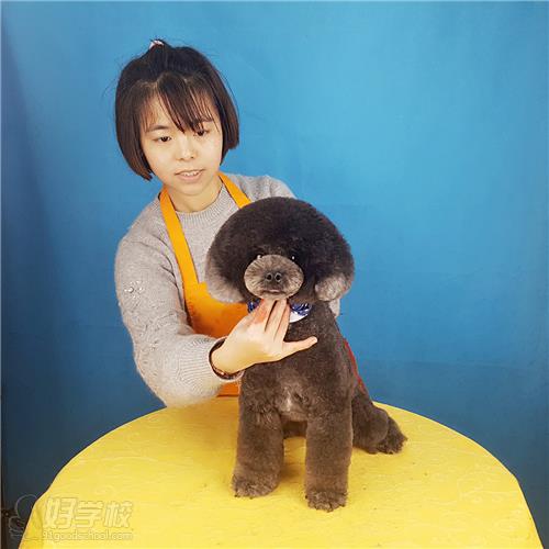 北京日韩创意萌系宠物造型培训课程-北京宠艺