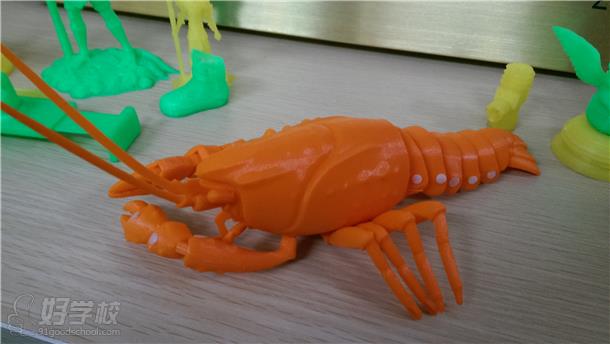 上海泉威学生3D打印设计动态虾作品展示