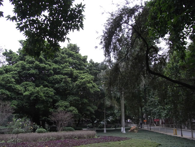 电大行政管理专科招生