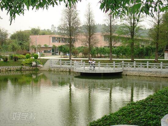 广州计算机网络应用专业信息安全方向高中起点