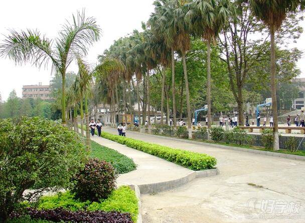 广州人力资源管理专业高级技工报名-广东省电