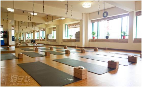 深圳阿斯汤加瑜伽培训课程-深圳缪斯瑜伽培训