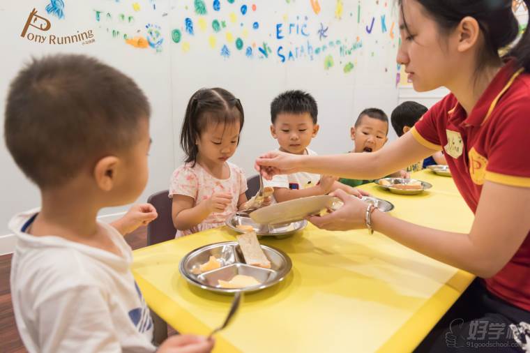 深圳早教半日班-深圳小马快跑早教中心-【学费