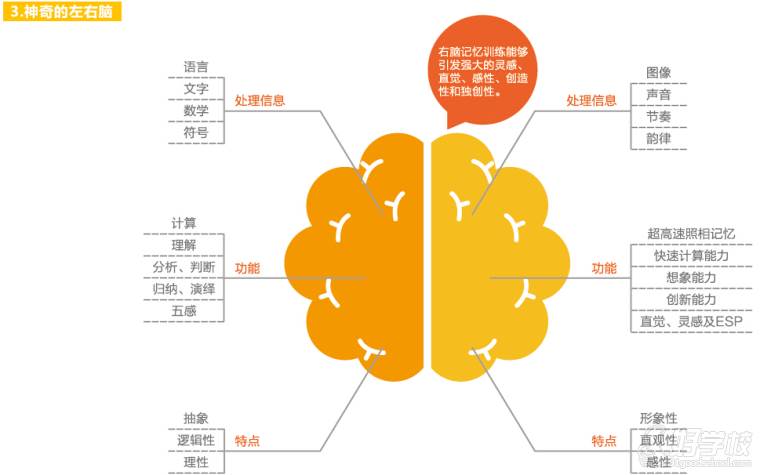 南京6个月-6岁经典全脑开发启蒙早教课-七田真