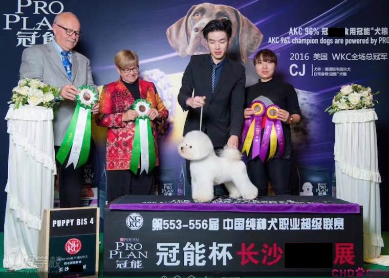 长沙宠物美容护理B级专业培训班-湖南启梦宠物