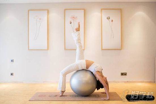 广州球瑜伽教练培训班(国际瑜伽联盟学院授权