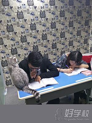 上海日语外教一对二vip培训班