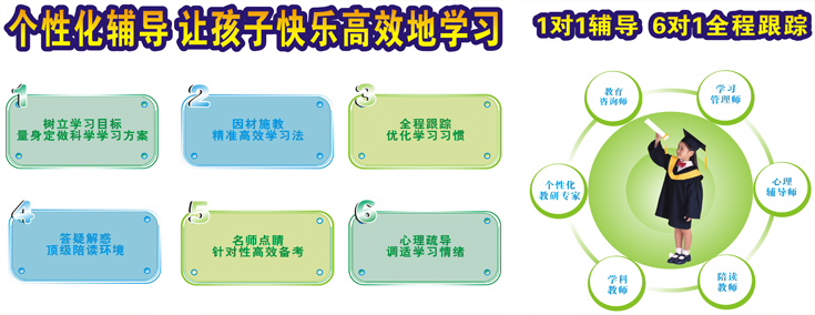 1对1夯实双基特训班