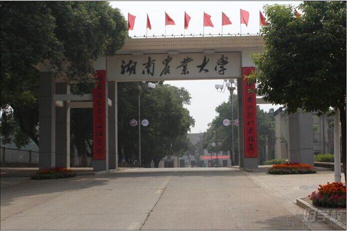 湖南农业大学成人高考专升本深圳班招生简章