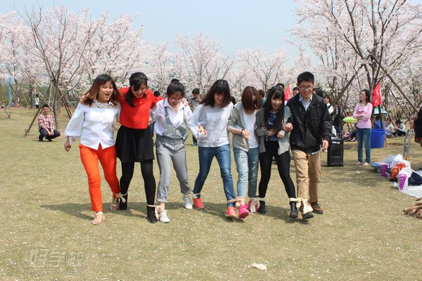 上海昂立日语第六届顾村花见行-上海市昂立