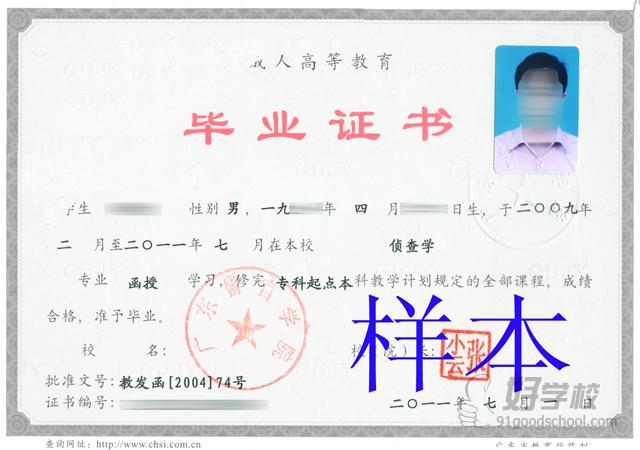 成考文科有哪些专业?