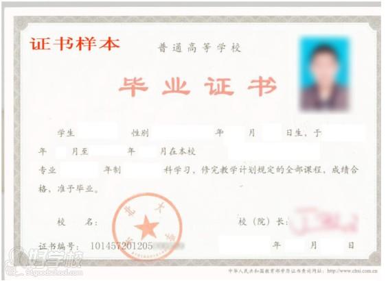 东北大学网络教育专科招生简章