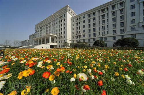 电子科技大学网络教育专科招生简章-上海向尚