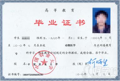 中国农业大学网络教育《土木工程》专科东莞班