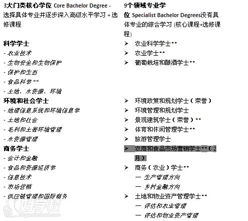 更具林肯大学特色的本科学位课程 更具林肯大学特色的本科学位课程