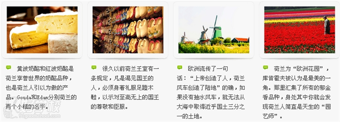 荷兰印象 荷兰印象