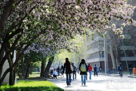 天津大学网络教育《工商企业管理》高起专广州