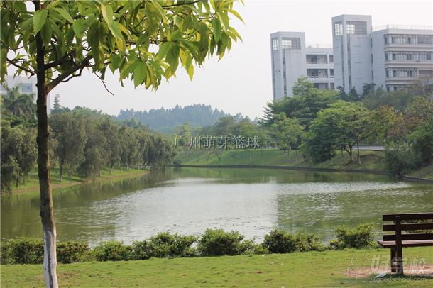篮球住宿营行程及全景-广州萌芽篮球训练营-好
