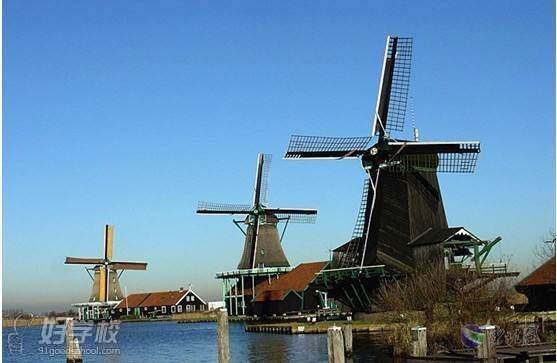 上海荷兰本科出国留学申请-上海炎裔留学-【学