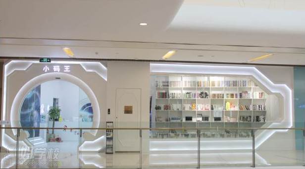 重庆少儿编程思维教育小码班-重庆小码王少儿