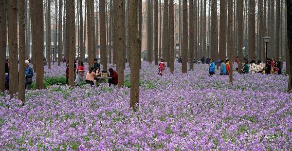 南京理工大学自考本科全日制招生