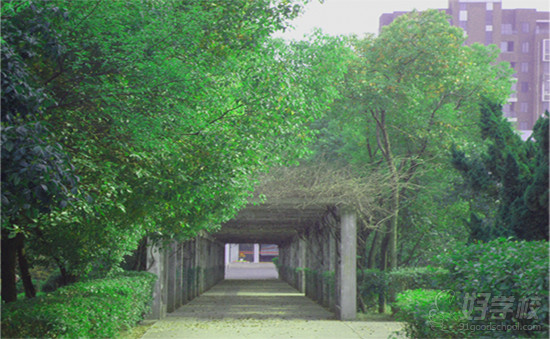 南京华东信息工程技工学校的校园环境怎样?-南